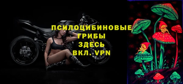 spice Лабытнанги