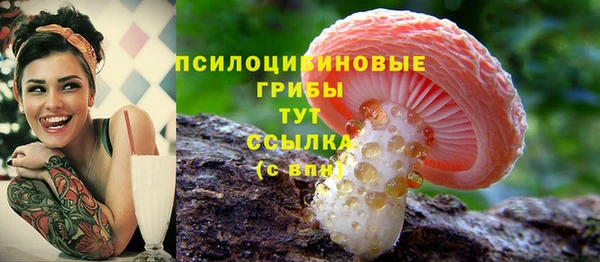 mdma Лагань